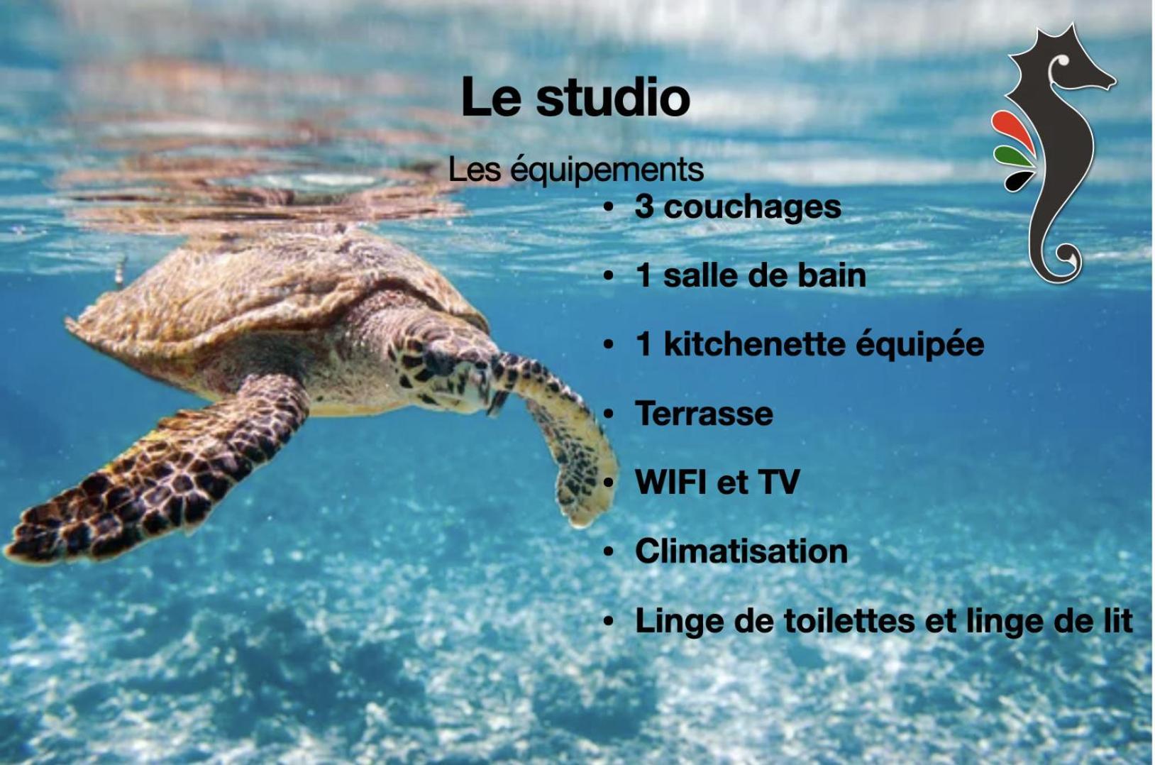 Studio Hippocampe P&V Sainte-Luce Exteriér fotografie